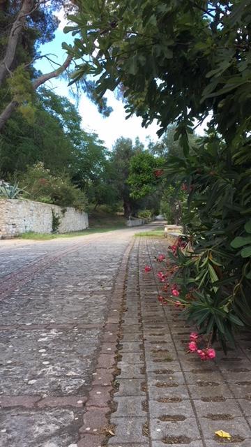 Tenuta Valle Della Corte Vieste Exterior foto