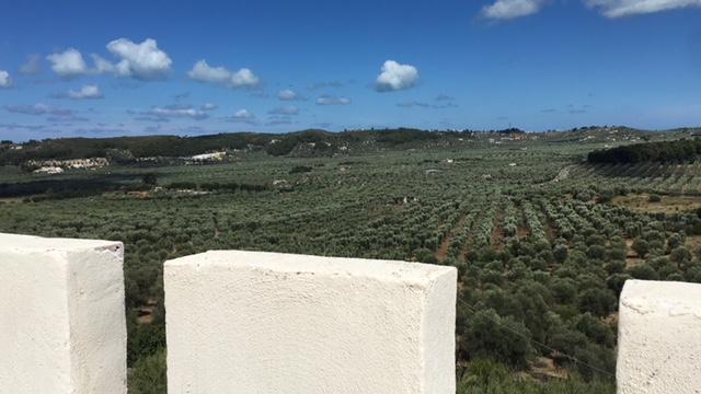 Tenuta Valle Della Corte Vieste Exterior foto